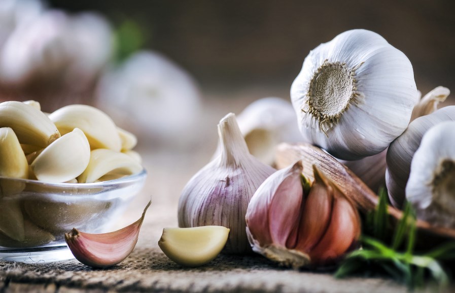 Чеснок польза и вред для здоровья человека