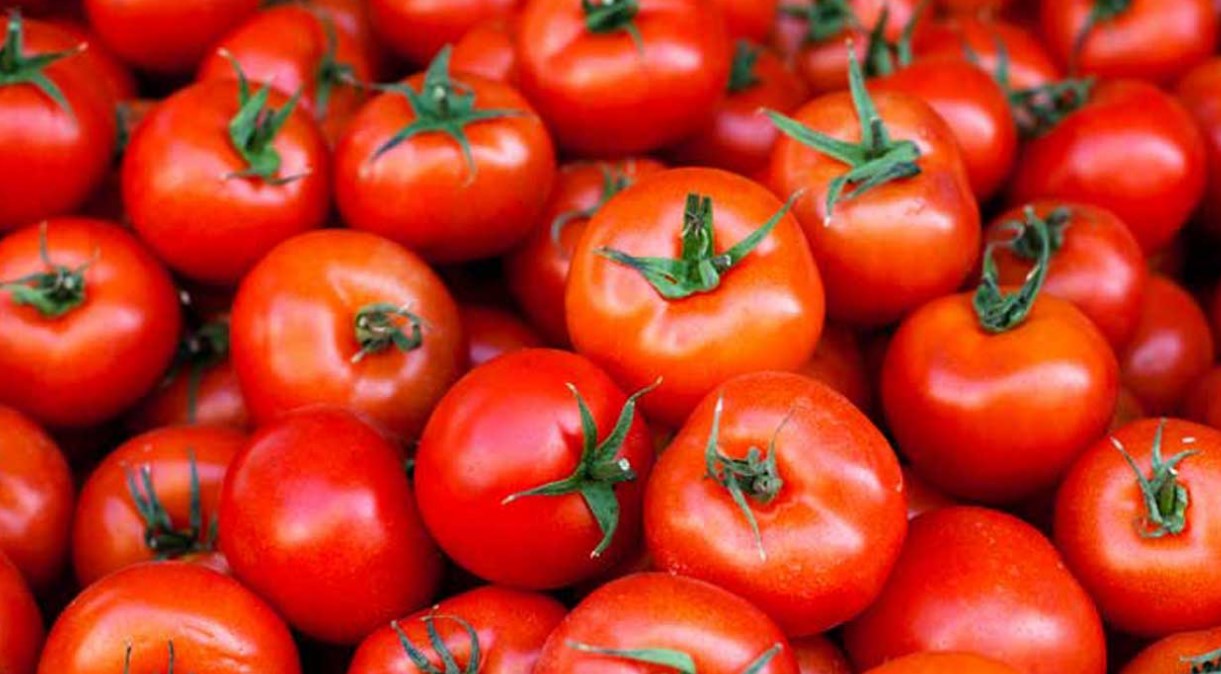 Помидоры польза и вред для здоровья женщин